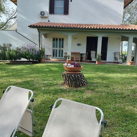 Agriturismo Uliveto Gretacci Montemerano Ngoại thất bức ảnh