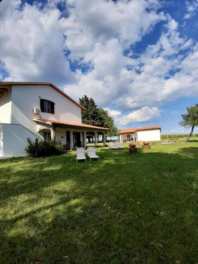 Agriturismo Uliveto Gretacci Montemerano Ngoại thất bức ảnh