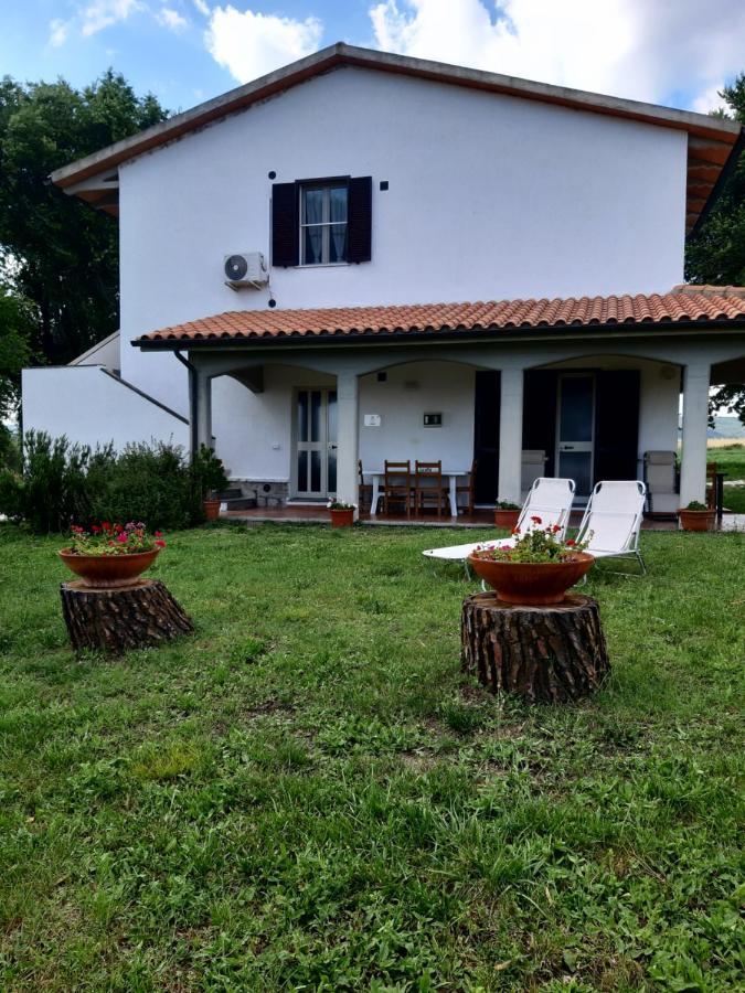 Agriturismo Uliveto Gretacci Montemerano Ngoại thất bức ảnh