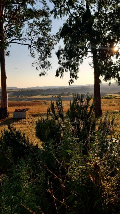 Agriturismo Uliveto Gretacci Montemerano Ngoại thất bức ảnh
