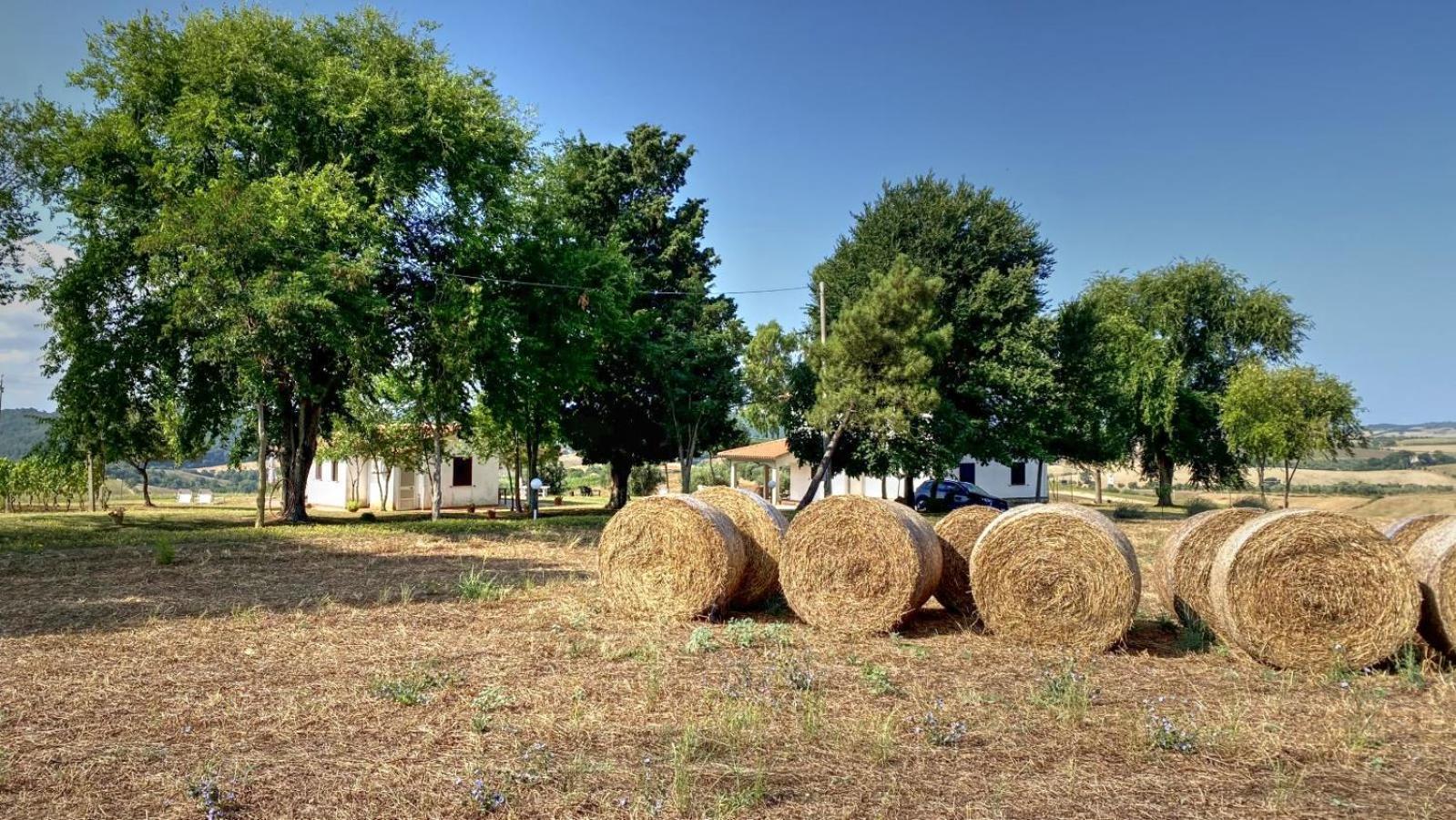 Agriturismo Uliveto Gretacci Montemerano Ngoại thất bức ảnh