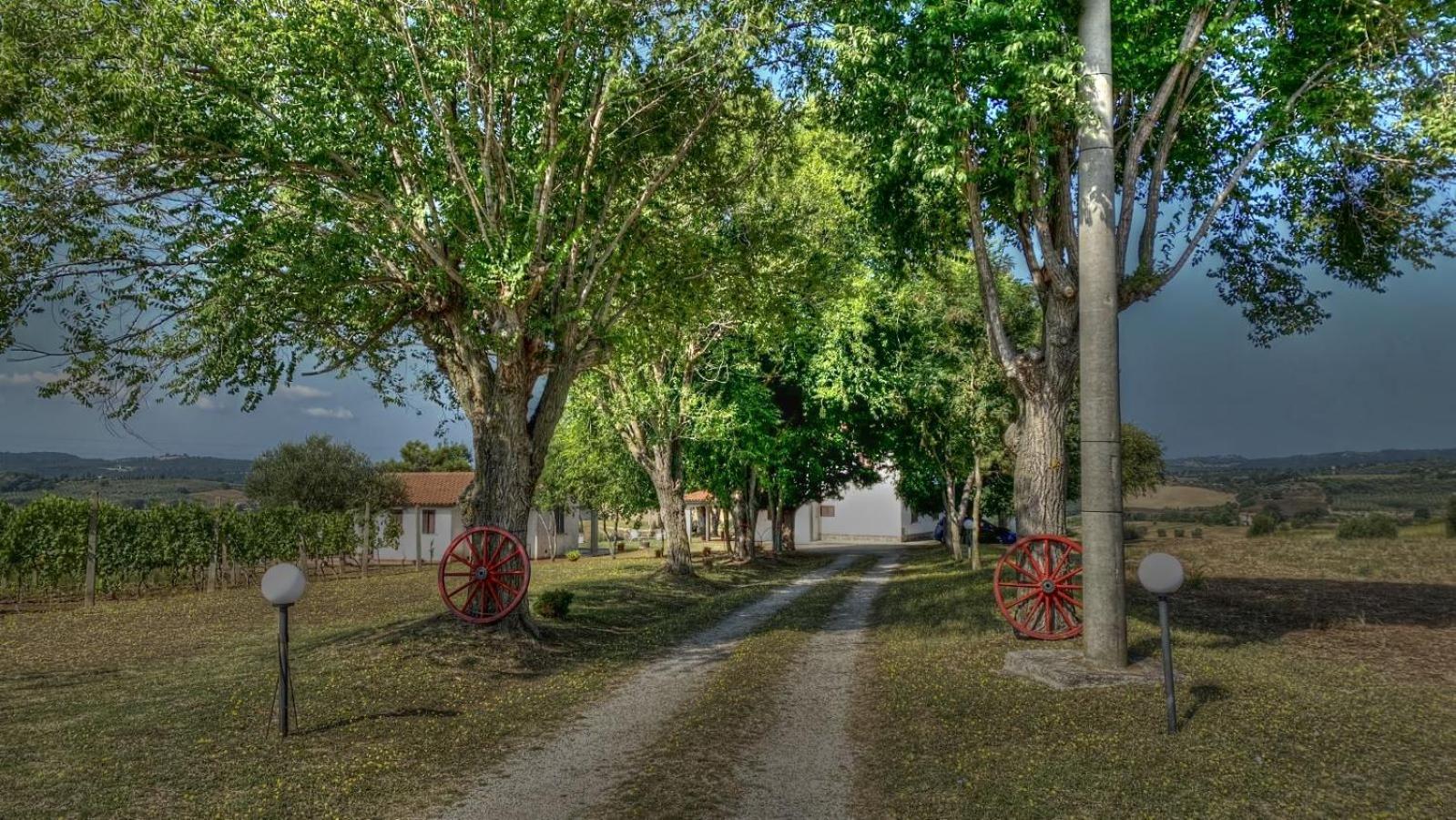 Agriturismo Uliveto Gretacci Montemerano Ngoại thất bức ảnh