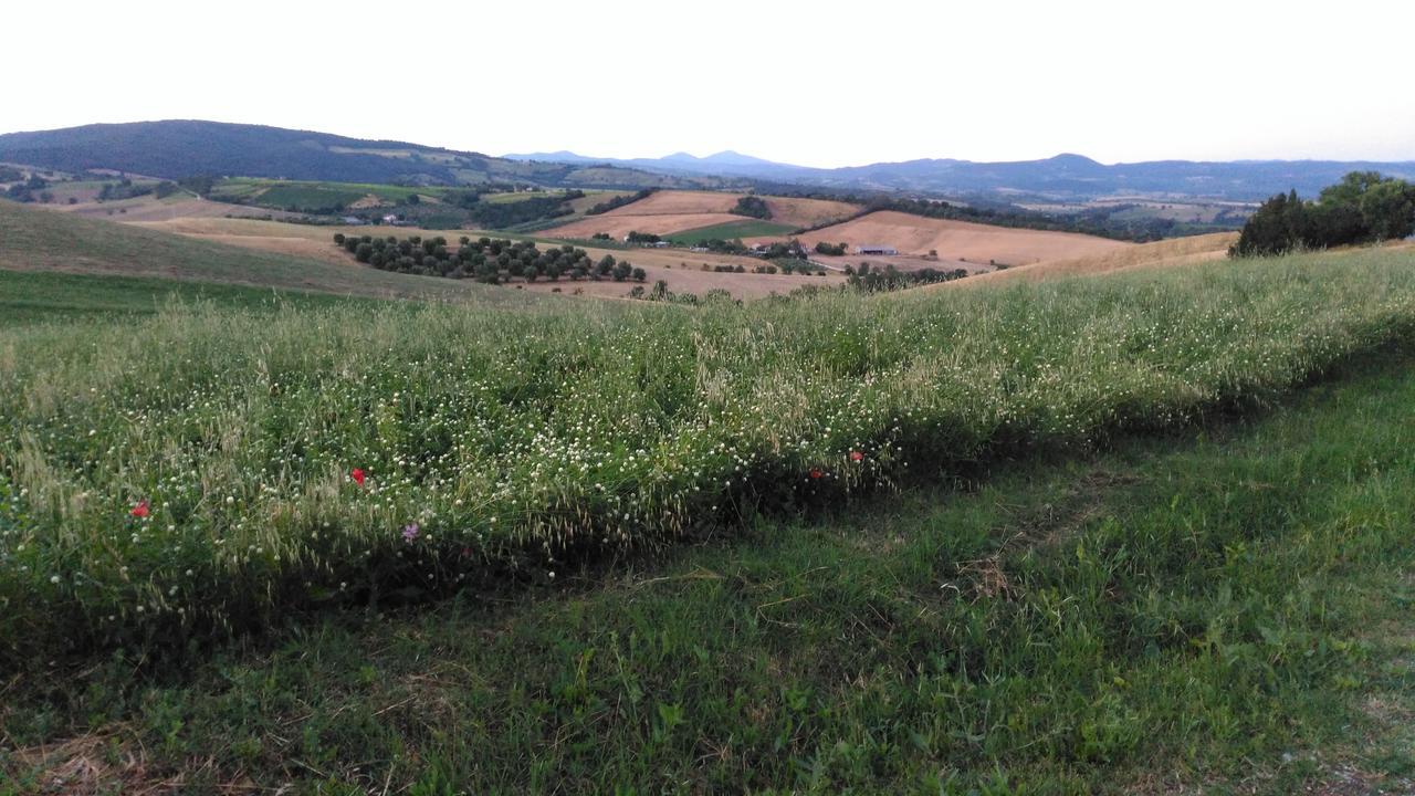 Agriturismo Uliveto Gretacci Montemerano Ngoại thất bức ảnh