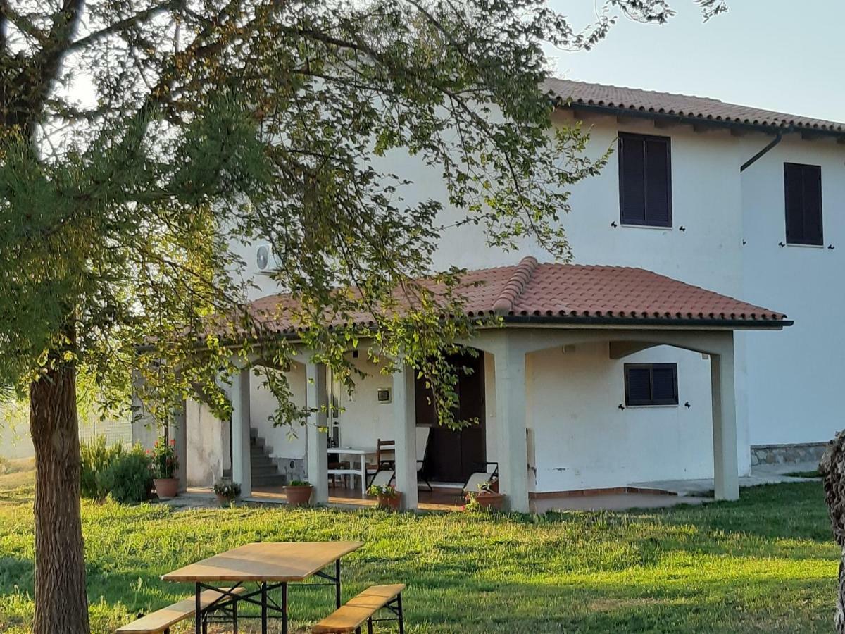 Agriturismo Uliveto Gretacci Montemerano Ngoại thất bức ảnh