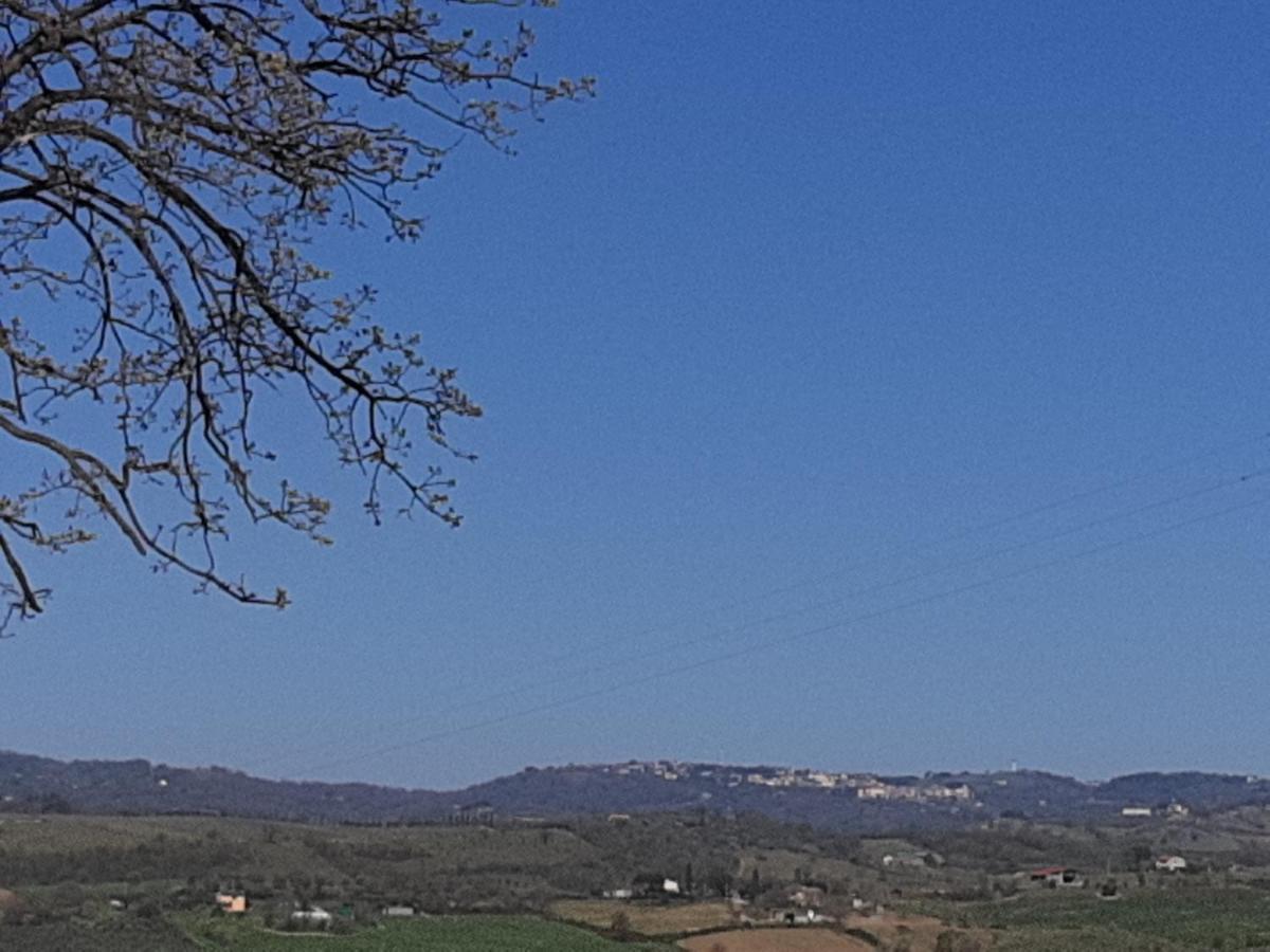 Agriturismo Uliveto Gretacci Montemerano Ngoại thất bức ảnh